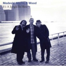 MEDESKI MARTIN & WOOD-IT'S A JUNGLE IN HERE (LP)