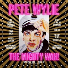 PETE WYLIE & THE MIGHTY WAH!-TEACH YSELF WAH! - THE BEST OF PETE WYLIE & THE MIGHTY WAH! (CD)
