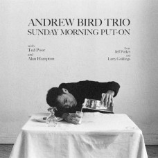 ANDREW BIRD/ALAN HAMPTON/TED POOR-SUNDAY MORNING PUT-ON (CD)