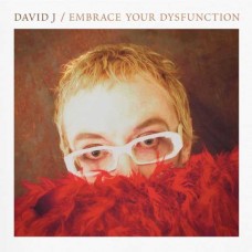 DAVID J-EMBRACE YOUR DYSFUNCTION (CD)