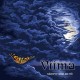 VIIMA-VAISTYY MIELEN YO (LP)