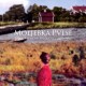 MOLJEBKA PVLSE-TOPOGRAPHY OF FREQUENCY AND TIME (CD)