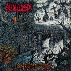 SENTENCED-SHADOWS OF THE PAST (LP)