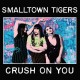 SMALLTOWN TIGERS-CRUSH ON YOU (CD)