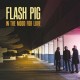 FLASH PIG-THE MOOD FOR LOVE (CD)