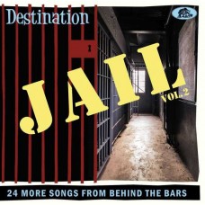 V/A-DESTINATION JAIL, VOL. 2 (CD)