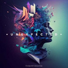 CHICKENHILL CULTURE CLUB-UNEXPECTED (LP)