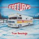 FREEWAYS-TRUE BEARINGS (LP)