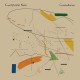 CAOILFHIONN ROSE-CONSTELLATION (CD)