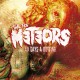 METEORS-40 DAYS A ROTTING (CD)