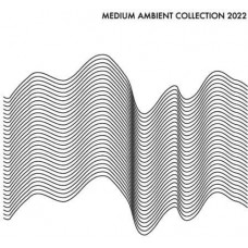 V/A-MEDIUM AMBIENT COLLECTION 2022 -COLOURED- (2LP)