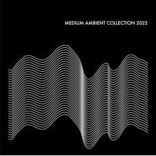 V/A-MEDIUM AMBIENT COLLECTION 2022 (2LP)