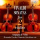 COMPAGNIA DE VIOLINI/ALESSANDRO CICCOLINI/DOMENICO SCICCHITANO-VIVALDI SONATAS FOR 2 VIOLINS (CD)