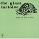 TIM PHILLIPS-GIANT TORTOISE (LP)