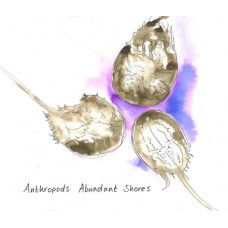 ANTHROPODS-ABUNDANT SHORES (CD)