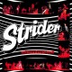 STRIDER-MISUNDERSTOOD (CD)