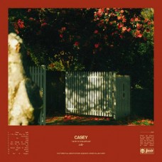 CASEY-HOW TO DISAPPEAR (CD)