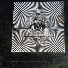 TELESCOPES-GROWING EYES BECOMING STRING (CD)