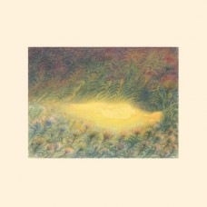 SOFIE BIRCH & ANTONINA NOWACKA-LANGUORIA (LP)