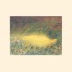 SOFIE BIRCH & ANTONINA NOWACKA-LANGUORIA (LP)