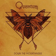 QUANTUM-DOWN THE MOUNTAINSIDE (CD)