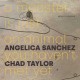 ANGELICA SANCHEZ & CHAD TAYLOR-A MONSTER IS JUST AN ANIMAL YOU HAVEN'T MET YET (CD)