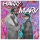 HARRY & HARRY-HARRY & HARRY (CD)