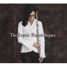 JAMIE BAUM-WHAT TIMES ARE THESE (CD)
