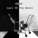 GRAY-LAST OF THE BEATS (LP)