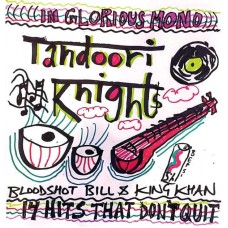 TANDOORI KNIGHTS-14 HITS THAT DON'T QUIT (LP)