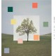 WASHED OUT-NOTES FROM A QUIET LIFE (CD)