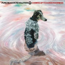 PURE REASON REVOLUTION-COMING UP TO CONSCIOUSNESS (CD)