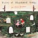 FELICE BROTHERS-VALLEY OF ABANDONED SONGS (CD)