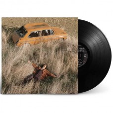 LAWRENCE ROTHMAN-PLOW THAT BROKE THE PLAINS (LP)