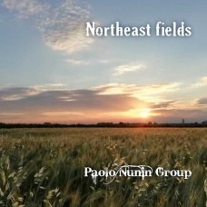 PAOLO NUNIN BAND-NORTHEAST FIELDS (CD)