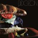 PIDGEON-PIDGEON (CD)