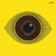 MESHELL NDEGEOCELLO-NO MORE WATER: THE GOSPEL OF JAMES BALDWIN (CD)