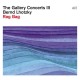 BERND LHOTZKY-THE GALLERY CONCERTS III - RAG BAG (CD)