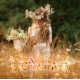 ATARAXIA-CENTAUREA (CD)