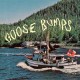 BOYSCOTT-GOOSE BUMPS -COLOURED- (LP)