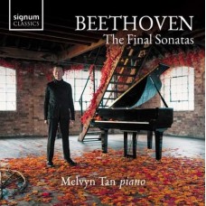 MELVYN TAN-BEETHOVEN THE FINAL SONATAS (CD)