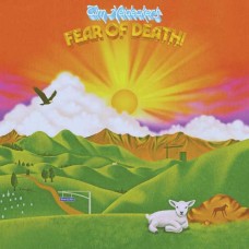 TIM HEIDECKER-FEAR OF DEATH -COLOURED- (LP)