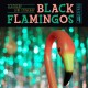 BLACK FLAMINGOS-FEATHERY / STINGRAY -COLOURED- (7")