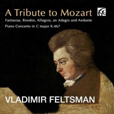 VLADIMIR FELTSMAN-A TRIBUTE TO MOZART (2CD)