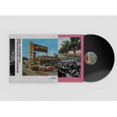WARRIORS OF THE DYSTOTHEQUE-IT'S A BEAUTIFUL THING (LP)