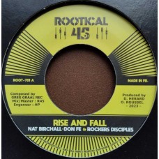 NAT BIRCHALL-RISE AND FALL (7")
