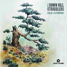 DOWN HILL STRUGGLERS-OLD JUNIPER (LP)