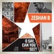 ZESHAN B-O SAY, CAN YOU SEE? (2LP)
