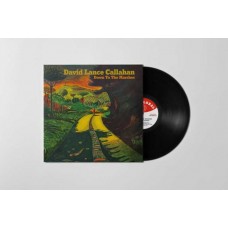 DAVID LANCE CALLAHAN-DOWN TO THE MARSHES (LP)