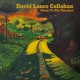 DAVID LANCE CALLAHAN-DOWN TO THE MARSHES (CD)